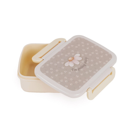 Box na jedlo pre deti s priehradkou Daisy