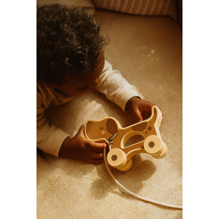 Drevená hračka na ťahanie psík pre deti